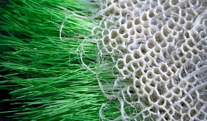 Rootfull Develops Bio-Textiles from Living Plant Roots for Sustainable Design Applications