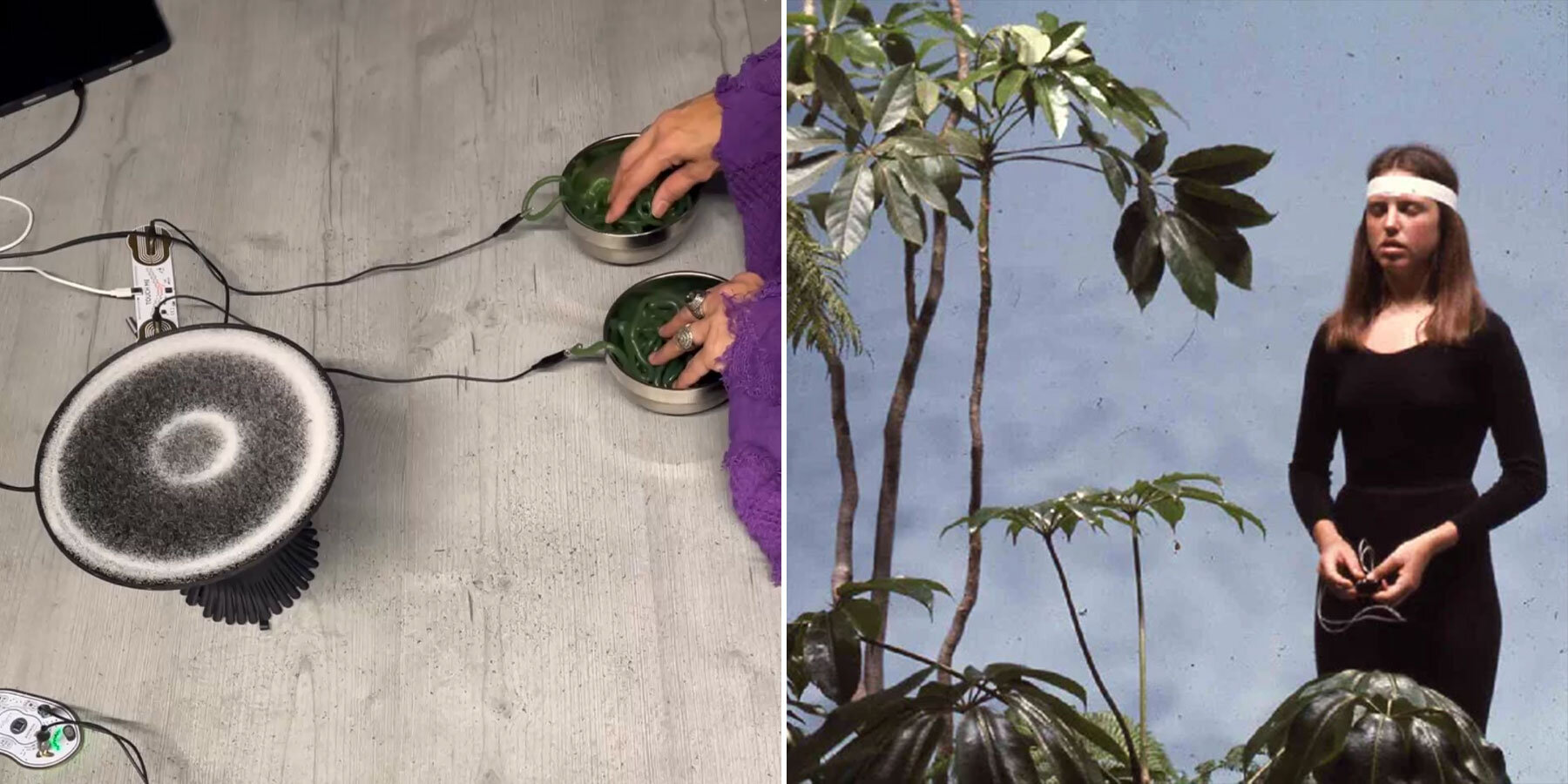 A close-up of sensors attached to plant leaves, with abstract sound waves emanating from them.