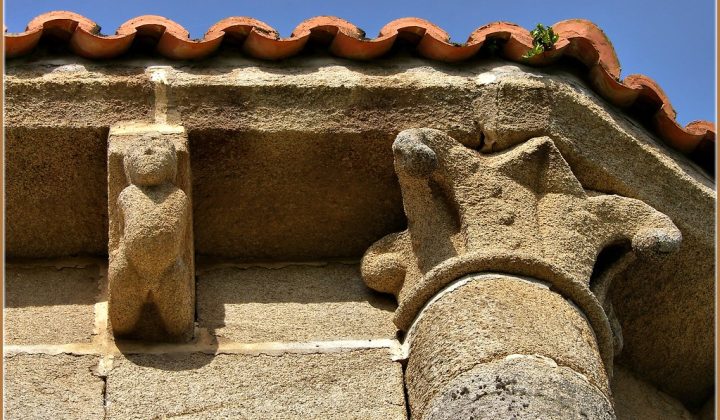 Lirio de Agua: Explorando la Expresión Artística con Acuarela y Papel
