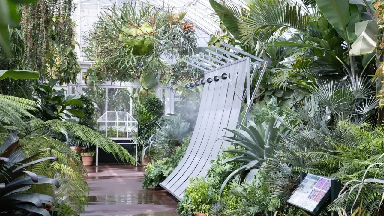 Climate Device Installation Unveiled at New York Botanical Garden