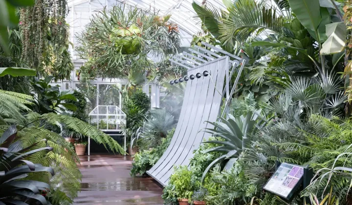 Climate Device Installation Unveiled at New York Botanical Garden