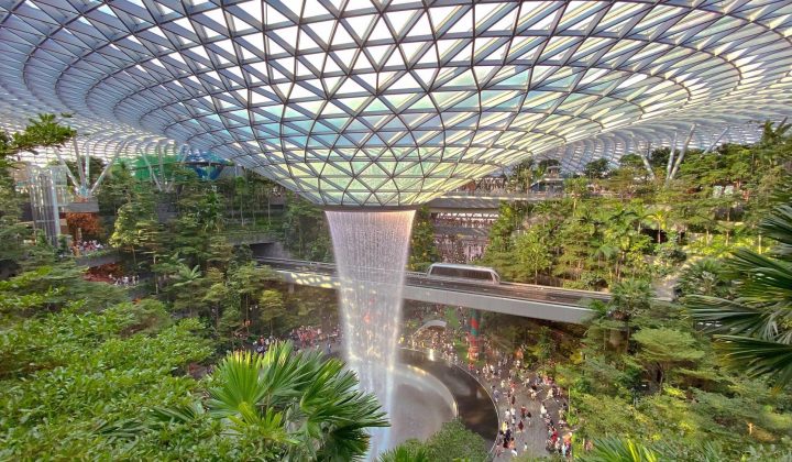 Phaidon presenta “Jardín Contemporáneo”, una exploración global de 300 espacios verdes innovadores