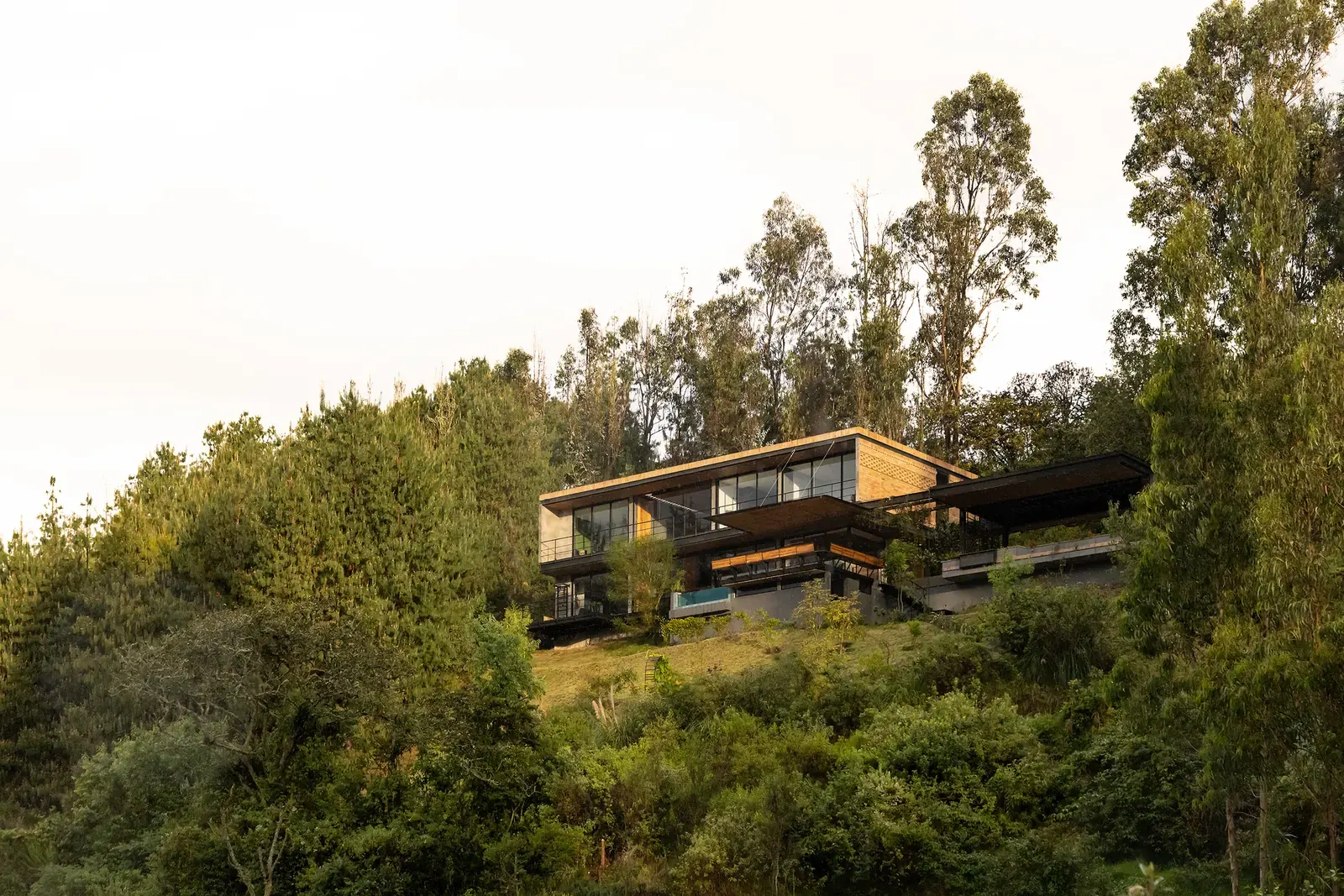 Exterior view of Casa 29, showcasing its integration with the sloping terrain and surrounding pine forest.