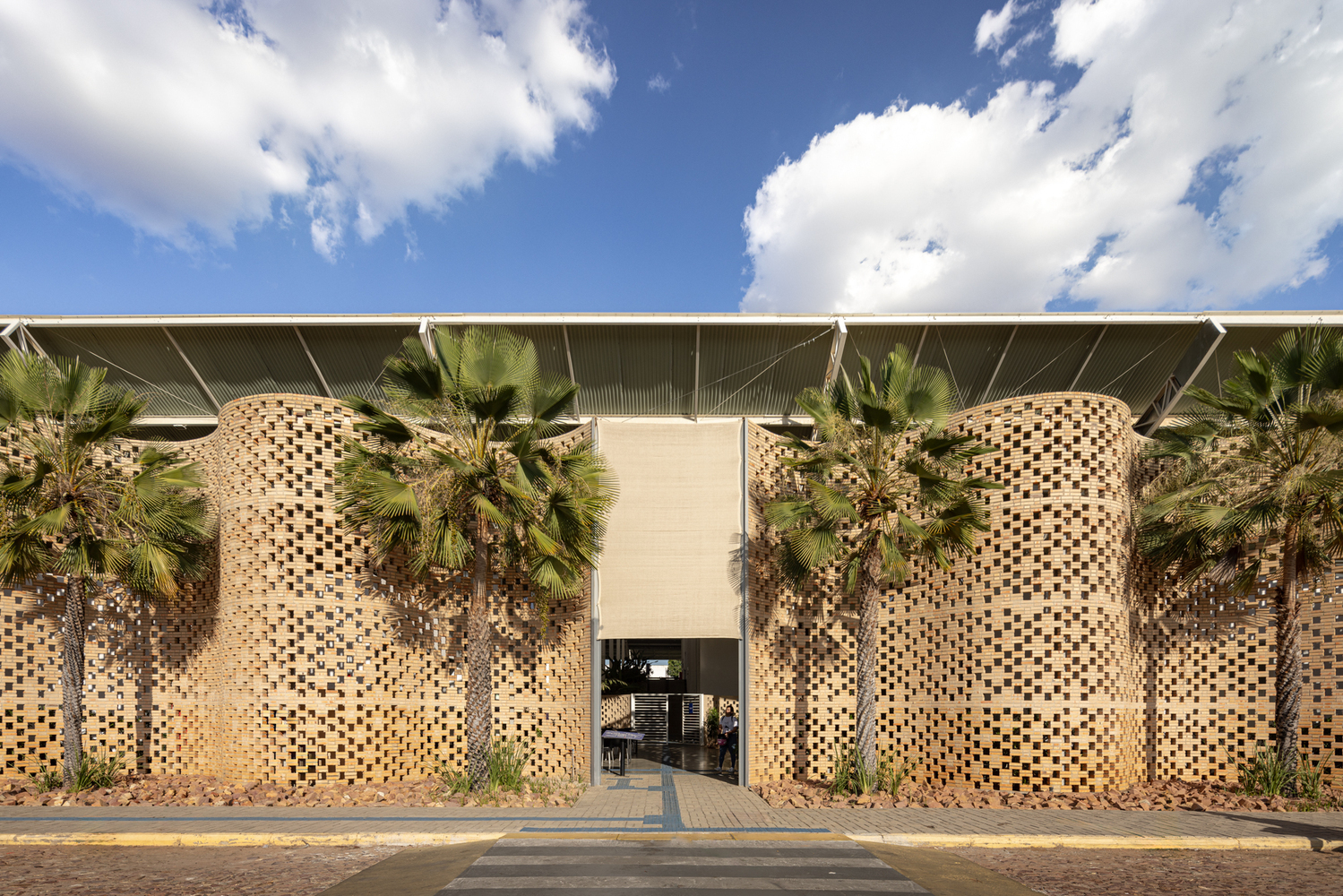 A bright and modern veterinary hospital waiting room designed with natural materials and comfortable seating for pets and owners.
