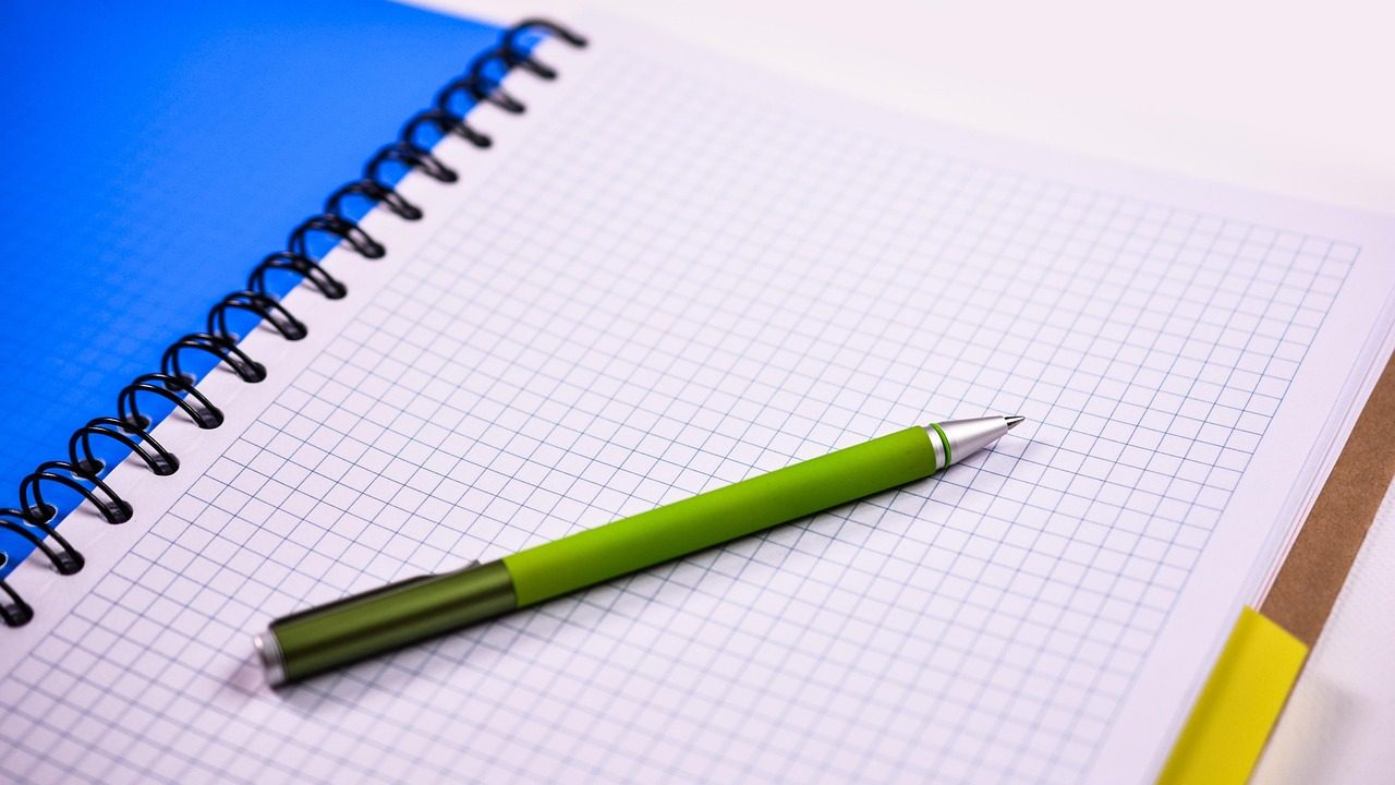 The Line, Reassessed: What Can Be Evaluated Now on Sustainability and Mobility