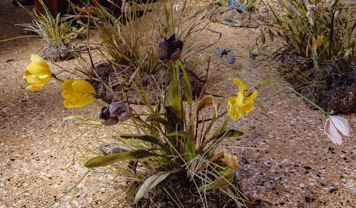 Lilla Tabasso Captures Botanical Decay in Hyperrealistic Murano Glass
