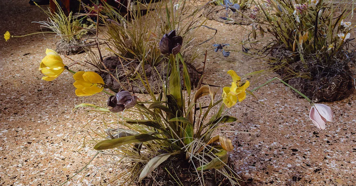 Lilla Tabasso Captures Botanical Decay in Hyperrealistic Murano Glass