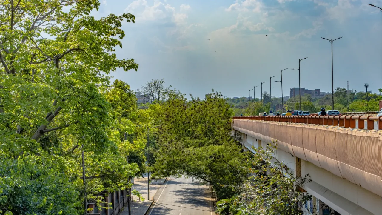 World Environment Day 2026: Key Takeaways for Architects and Urbanists