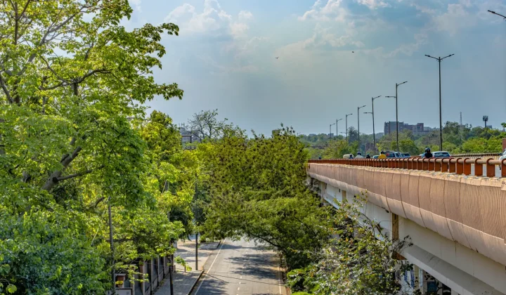 World Environment Day 2026: Key Takeaways for Architects and Urbanists