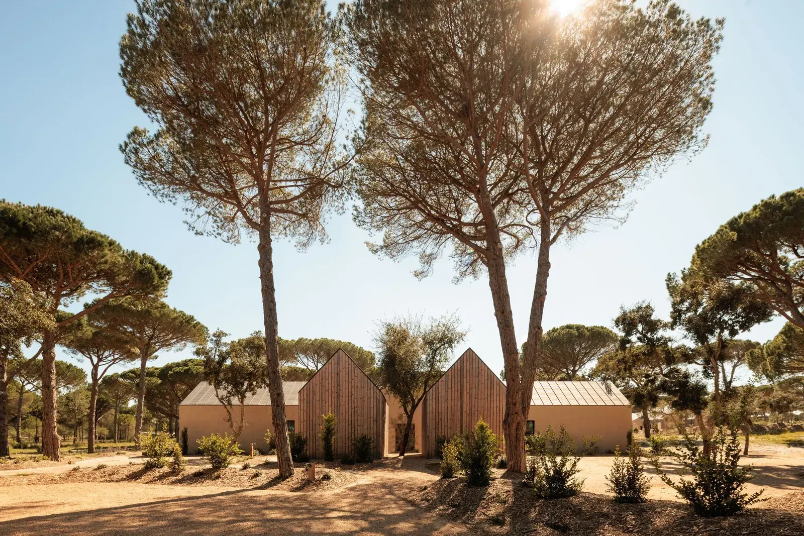 Exterior view of Sublime Comporta Sand, a contemporary hospitality building nestled within a dense forest of cork oak and umbrella pine trees in Comporta, Portugal.