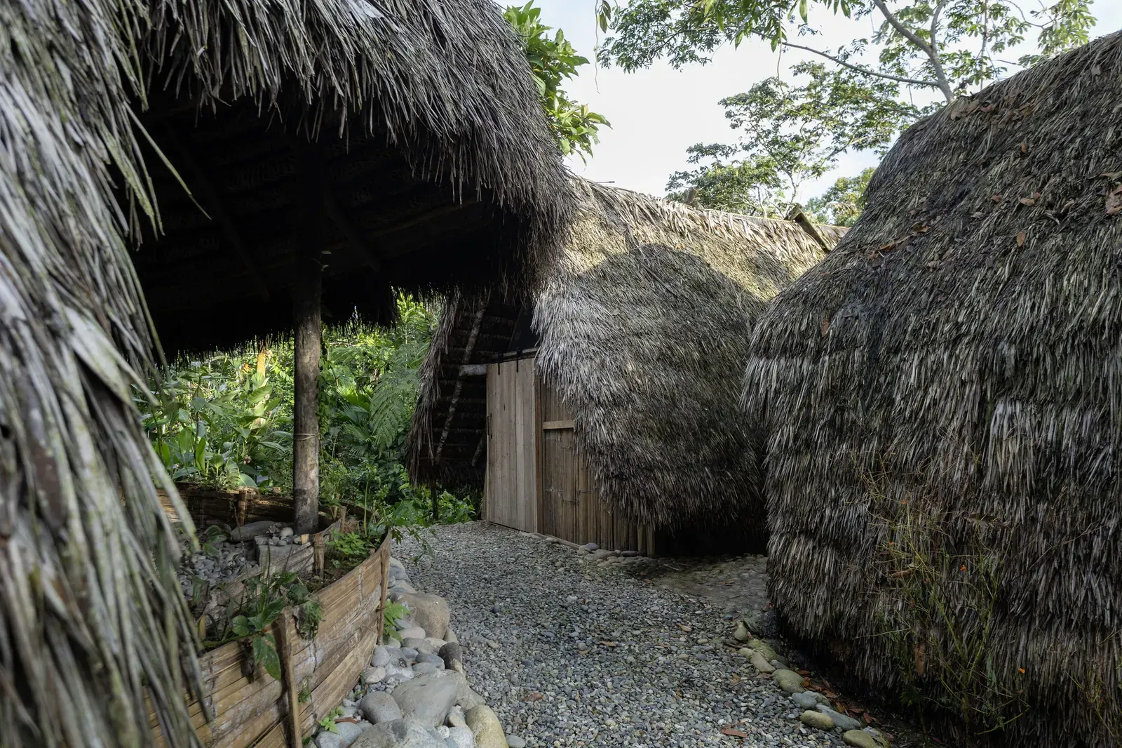 Exterior view of the Hampi Samay Wasi biohabitat, showcasing its integration with the surrounding jungle environment.