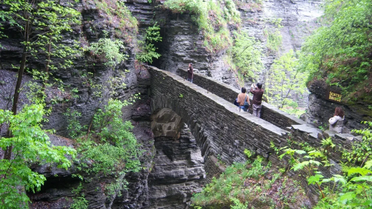 Lightweight “Half Arch” Bridge by sbp and Snøhetta Opens at Watkins Glen State Park