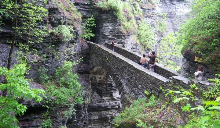 Lightweight “Half Arch” Bridge by sbp and Snøhetta Opens at Watkins Glen State Park