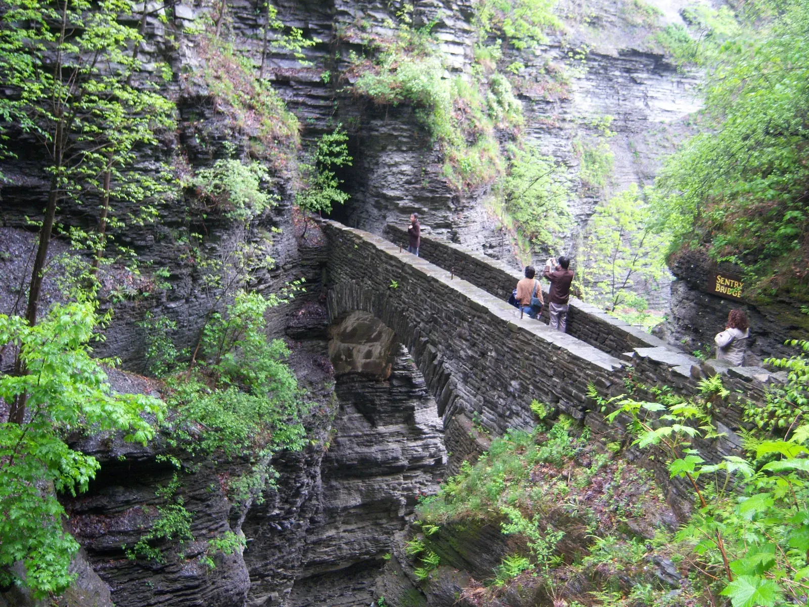Close-up of the new Sentry Bridge at Watkins Glen State Park, showing its shot-peened stainless steel structure, bronze guardrail brackets, and the surrounding gorge with