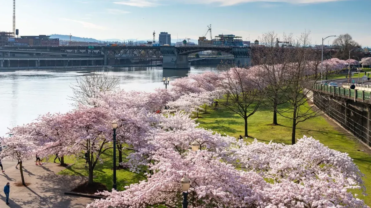 Portland Launches Design Competition to Reimagine Governor Tom McCall Waterfront Park