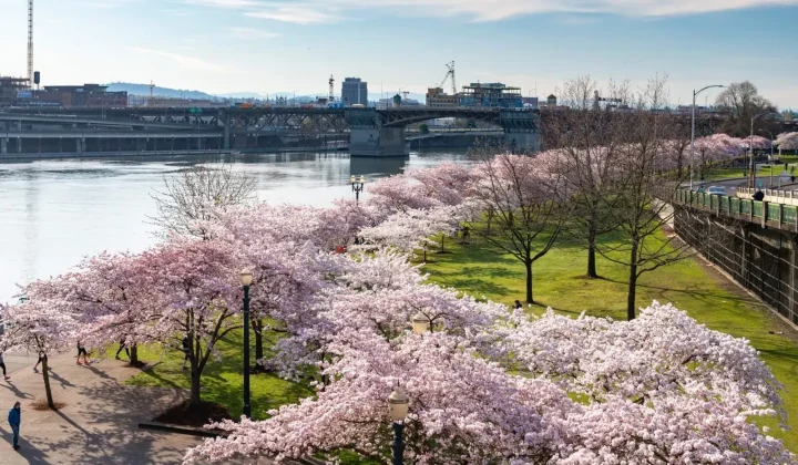 Portland Launches Design Competition to Reimagine Governor Tom McCall Waterfront Park