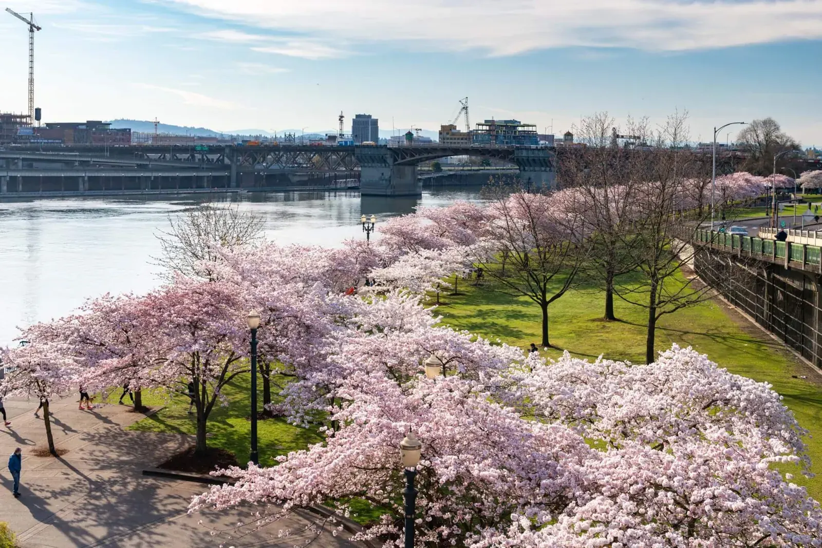 Aerial view of Governor Tom McCall Waterfront Park with the Willamette River and city skyline.