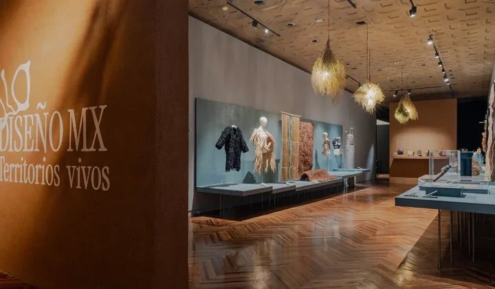 Biodiseño MX: Living Territories Explores Mexican Biodesign at Museo Franz Mayer