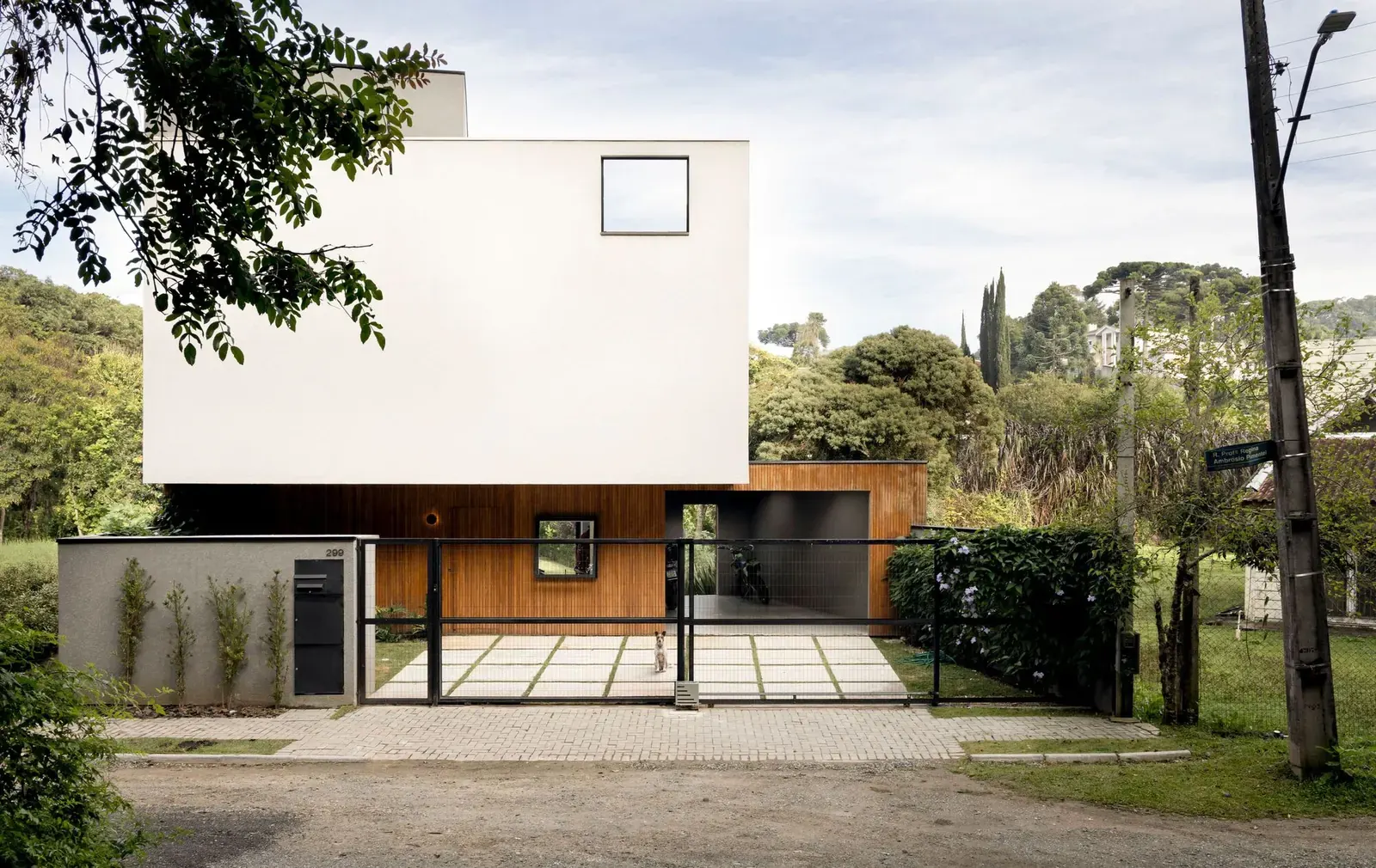 Exterior view of Casa Luna, a modern concrete house nestled within a dense forest, with large windows reflecting the natural surroundings.