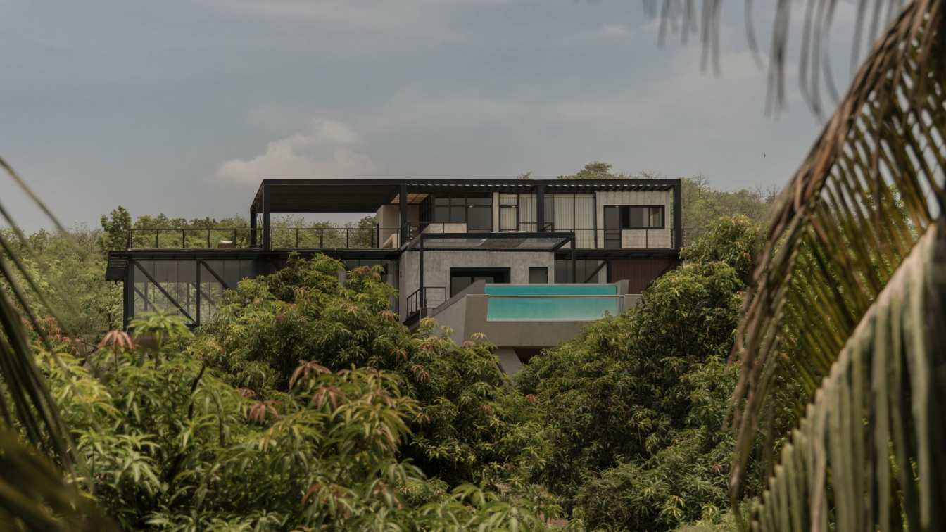 Elevated modern luxury retreat by The Local Crew near Gir National Park, with a visible mango orchard and surrounding wilderness