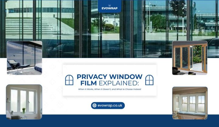 Privacy Window Film: What Architects Need to Know About Light, View and Limits