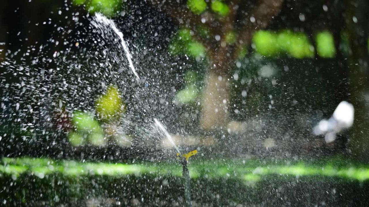 Smart Irrigation: How Water Management Preserves Home Design and Curb Appeal