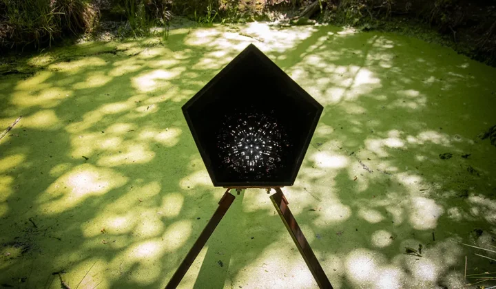 Bio-Designer Teresa van Dongen Explores Designing with Living Systems