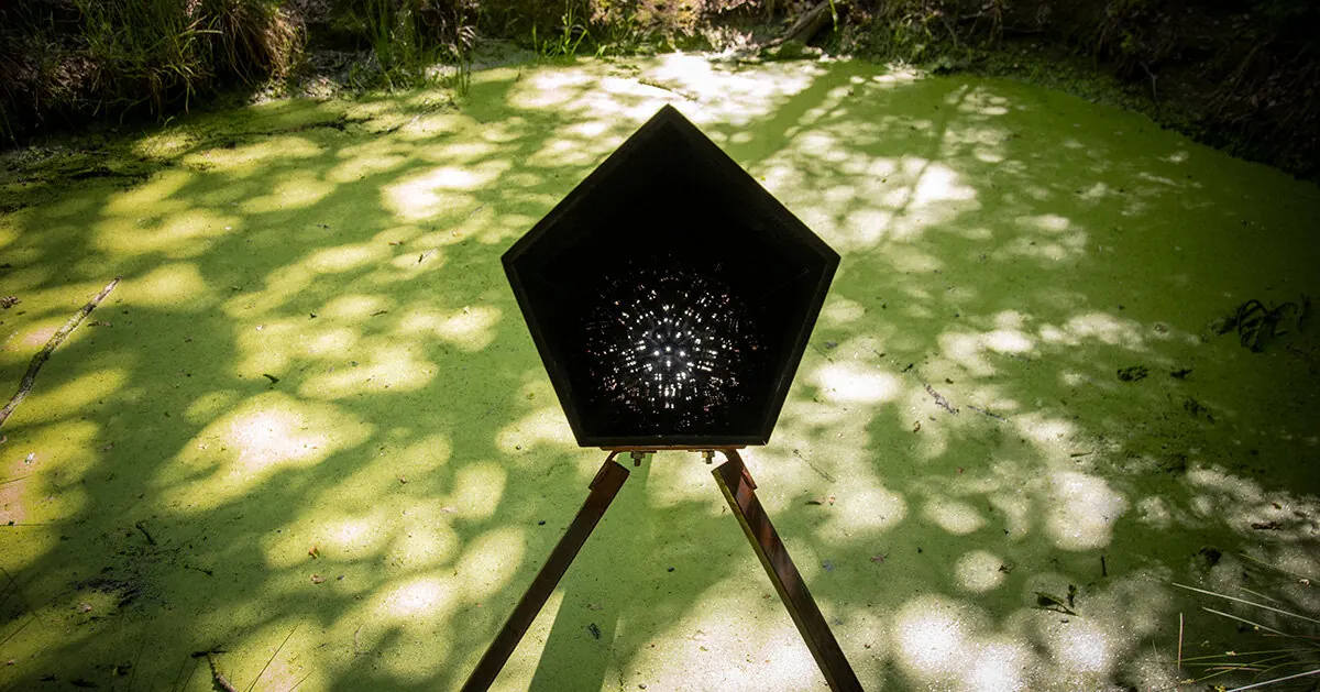 Bio-Designer Teresa van Dongen Explores Designing with Living Systems