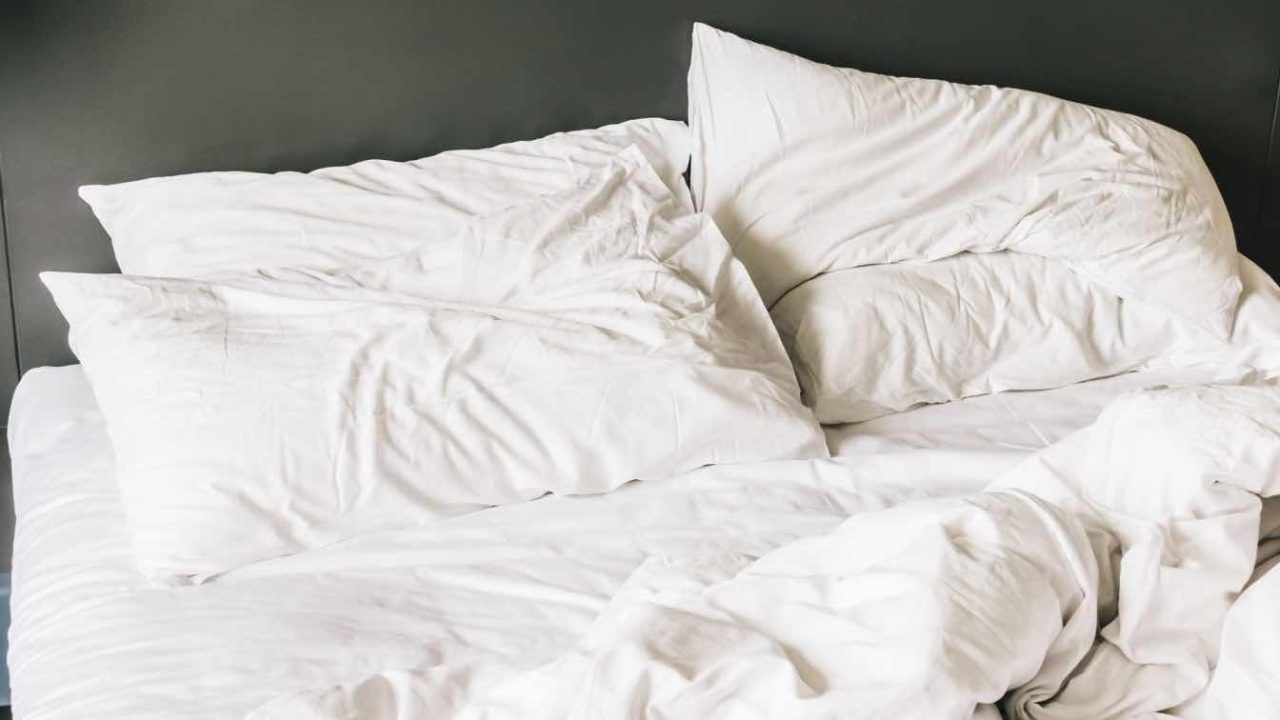 What Bed Bug Research Reveals About Infestation Patterns in Modern Residential Design