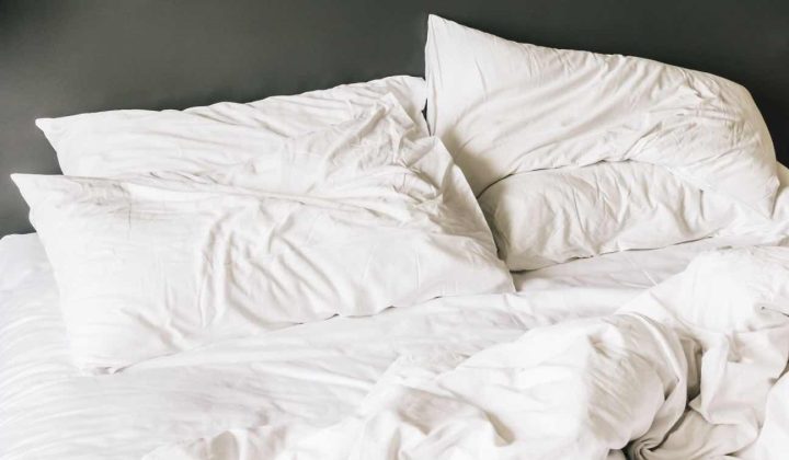 What Bed Bug Research Reveals About Infestation Patterns in Modern Residential Design