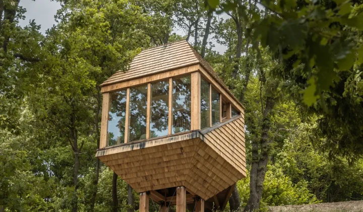 Studio Officina82 Completes TreeBOX Cabin as Part of Alpisella Alpine Recovery
