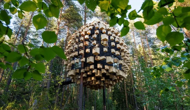 Who gets to live in the wall? Multispecies architecture moves from concept to concrete