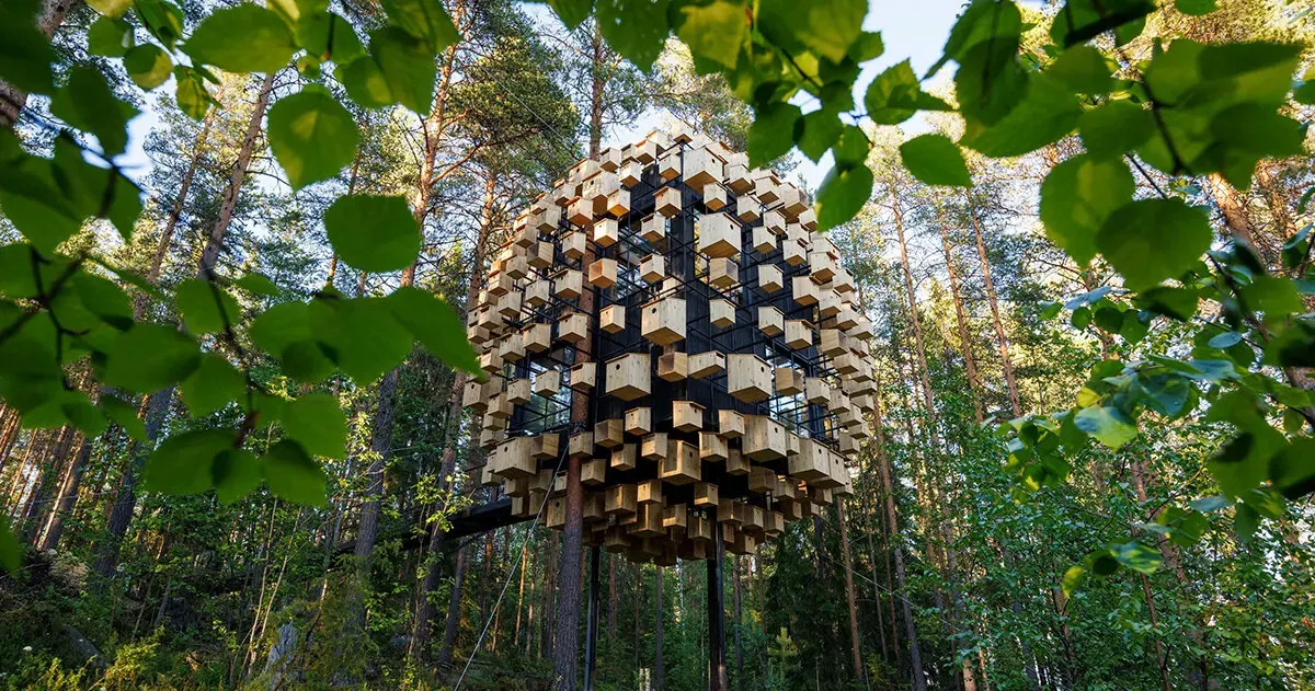 Who gets to live in the wall? Multispecies architecture moves from concept to concrete
