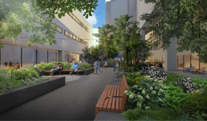 Nelson Byrd Woltz Begins Construction on Restorative Eagle Courtyard at Walter Reed Medical Center