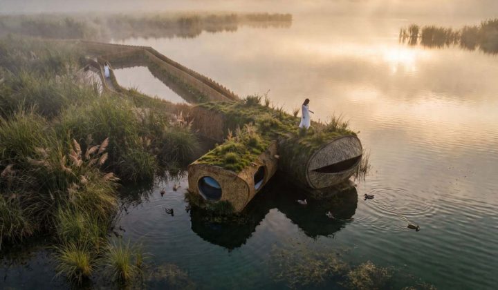 MIV Architects Proposes Wetland Pavilion That Prioritizes Non-Human Habitats Over Human Comfort